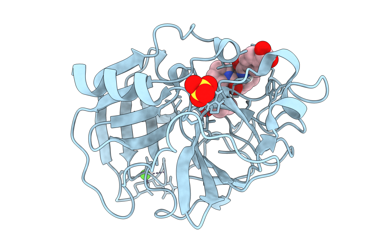 3HGP image