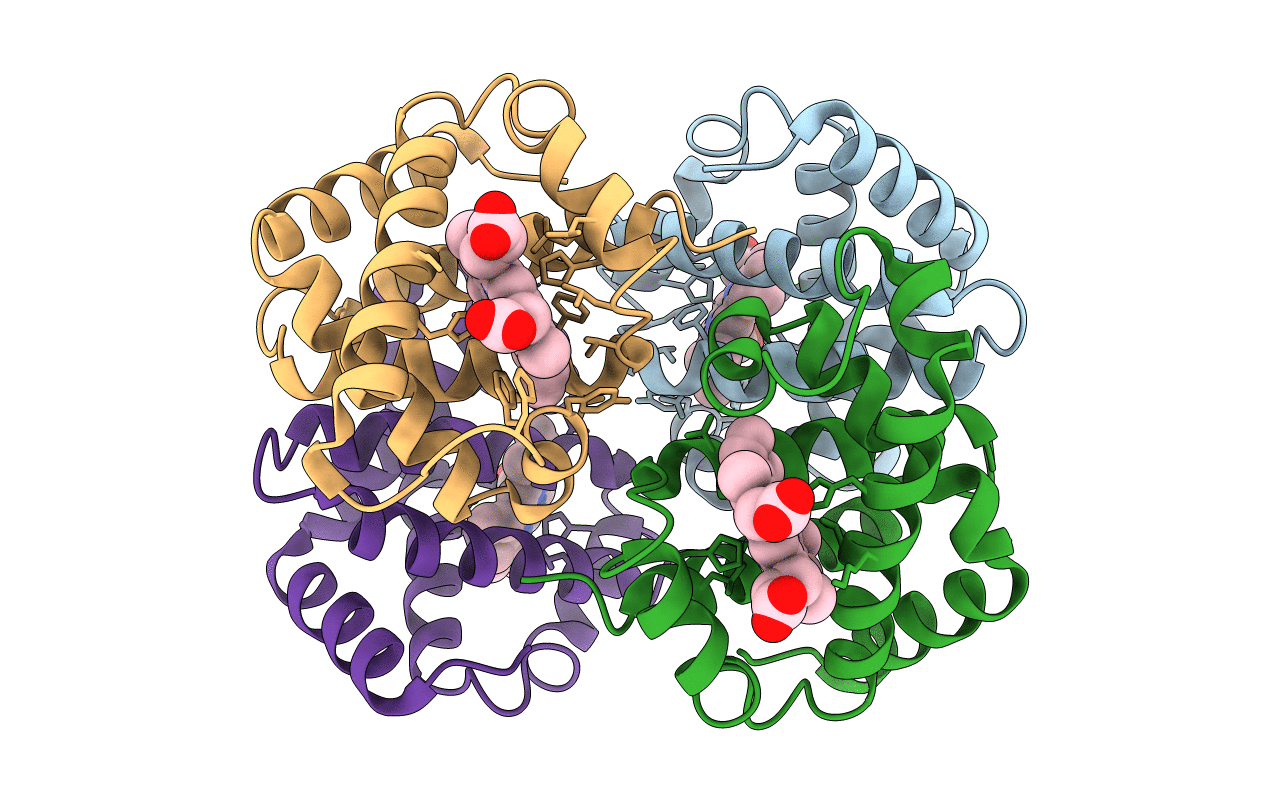 3HHB image