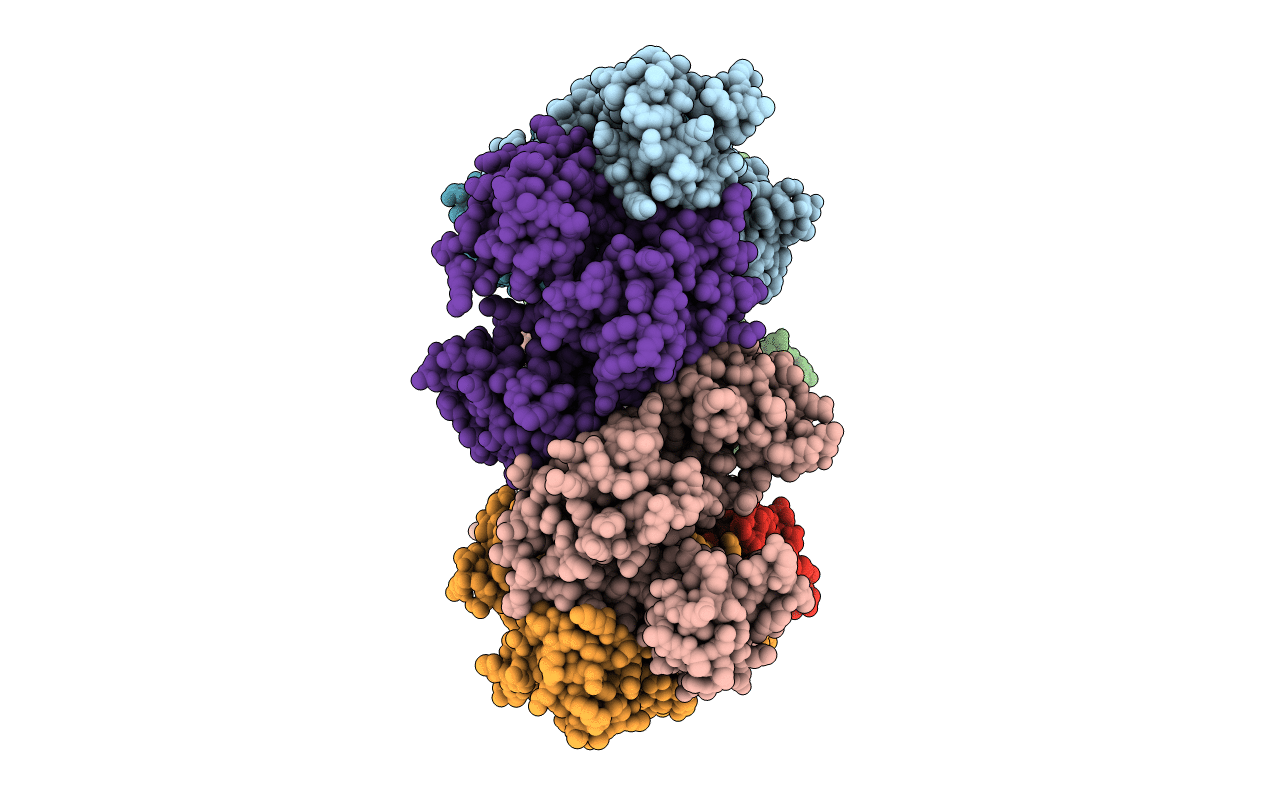 3HHG image