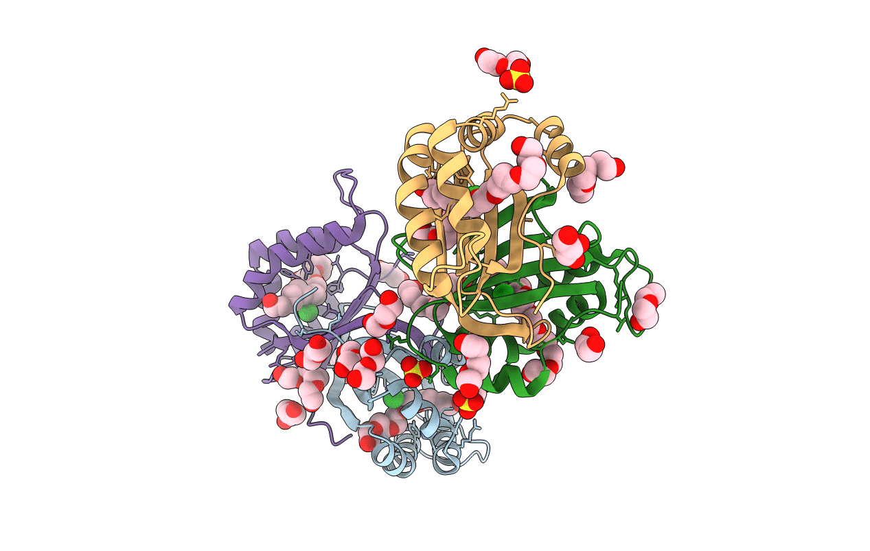3HHL image