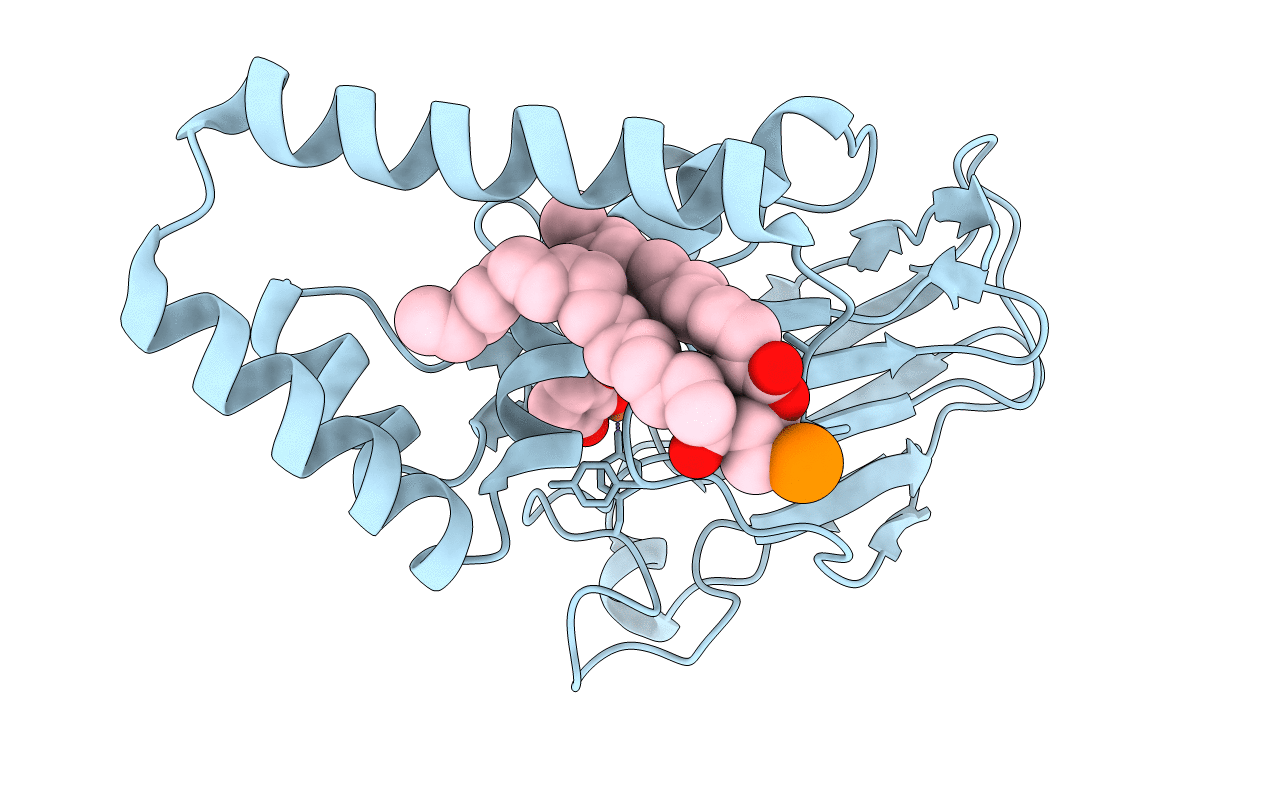 3HHX image