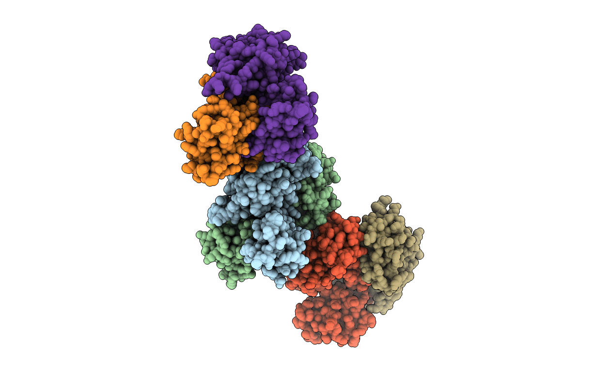 3HIF image