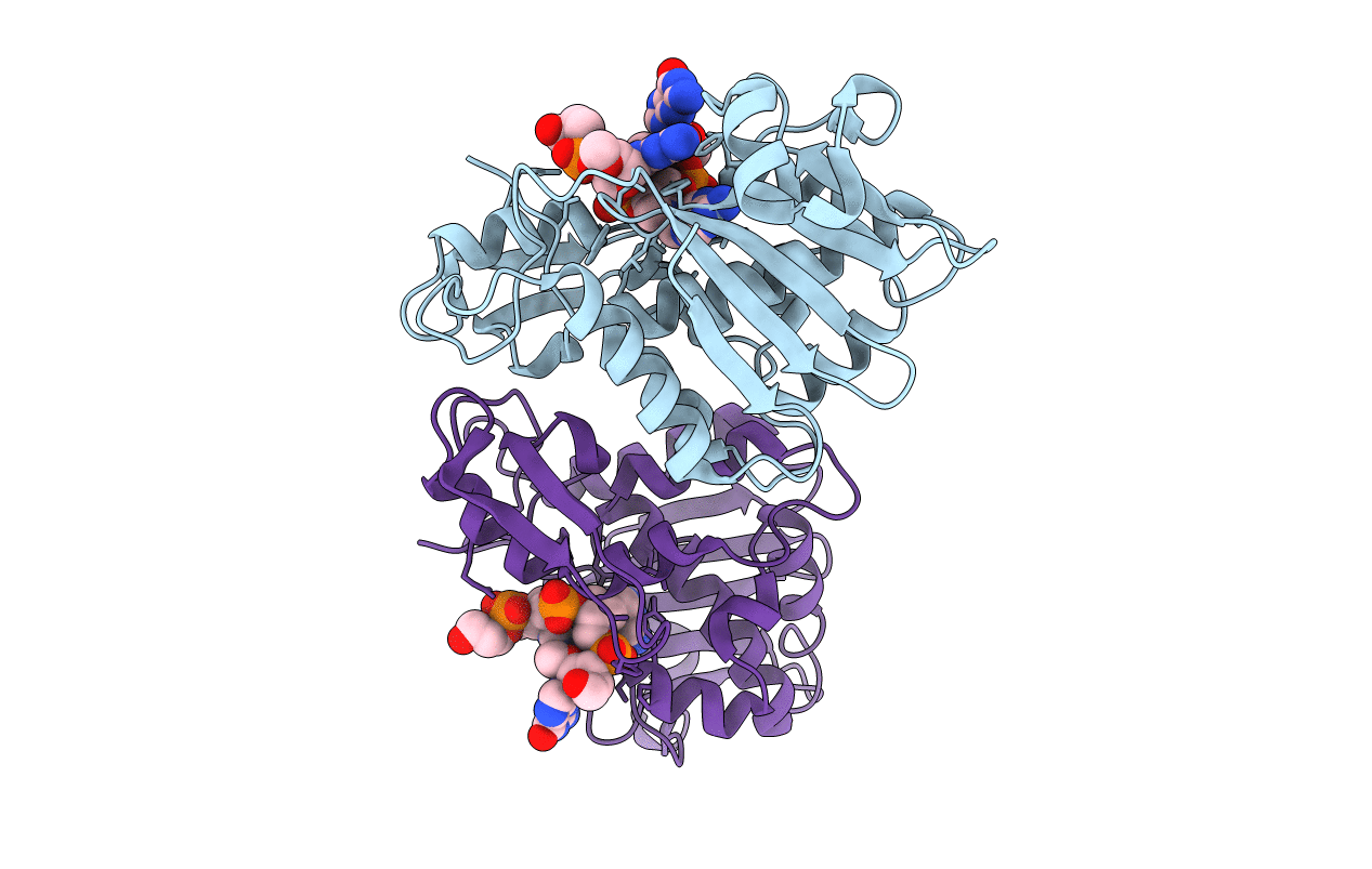 3HIV image