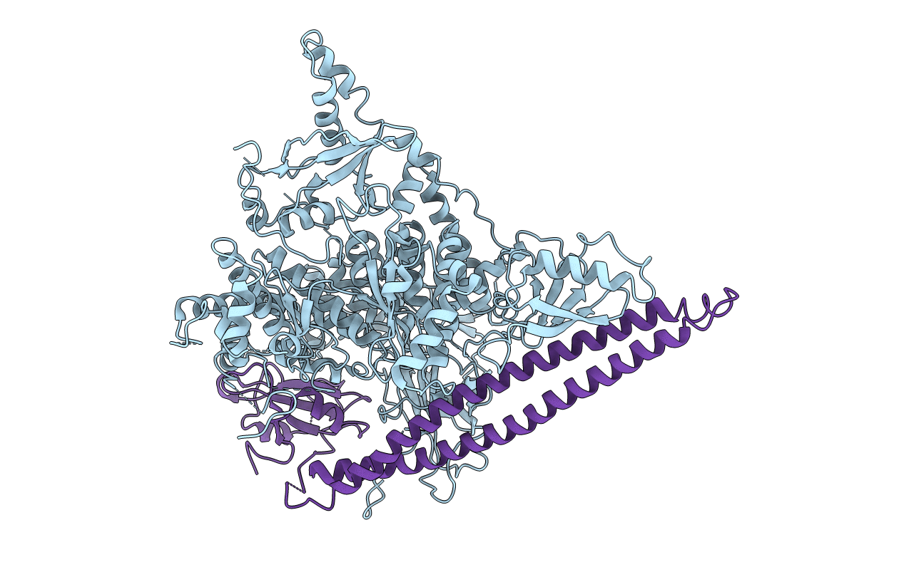 3HIZ image