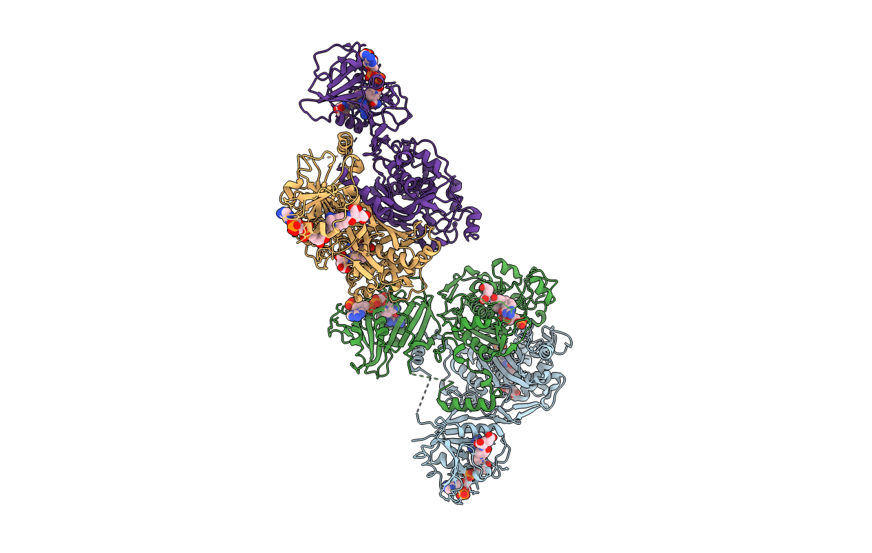 3HJ3 image