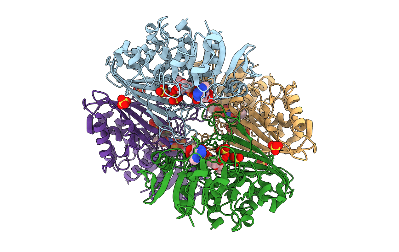 3HJA image