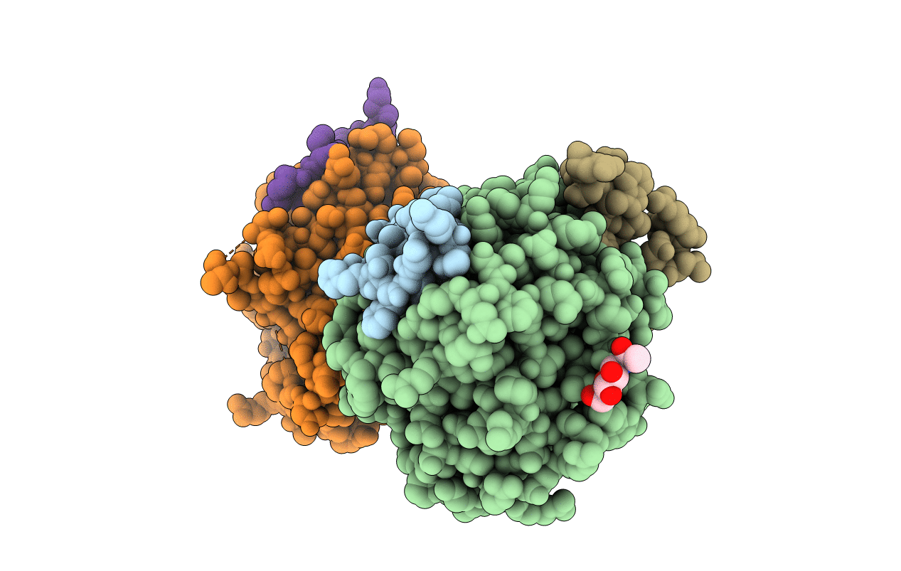 3HKI image