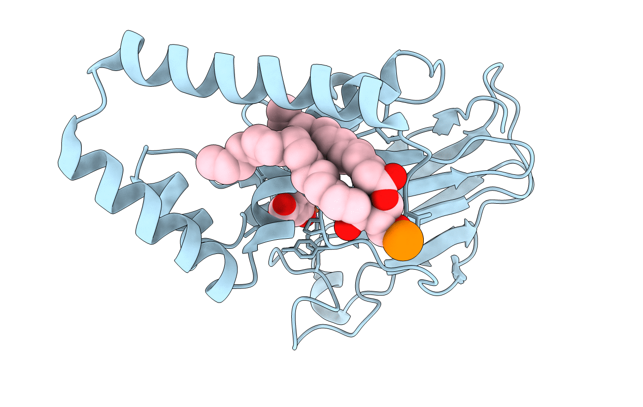 3HKP image
