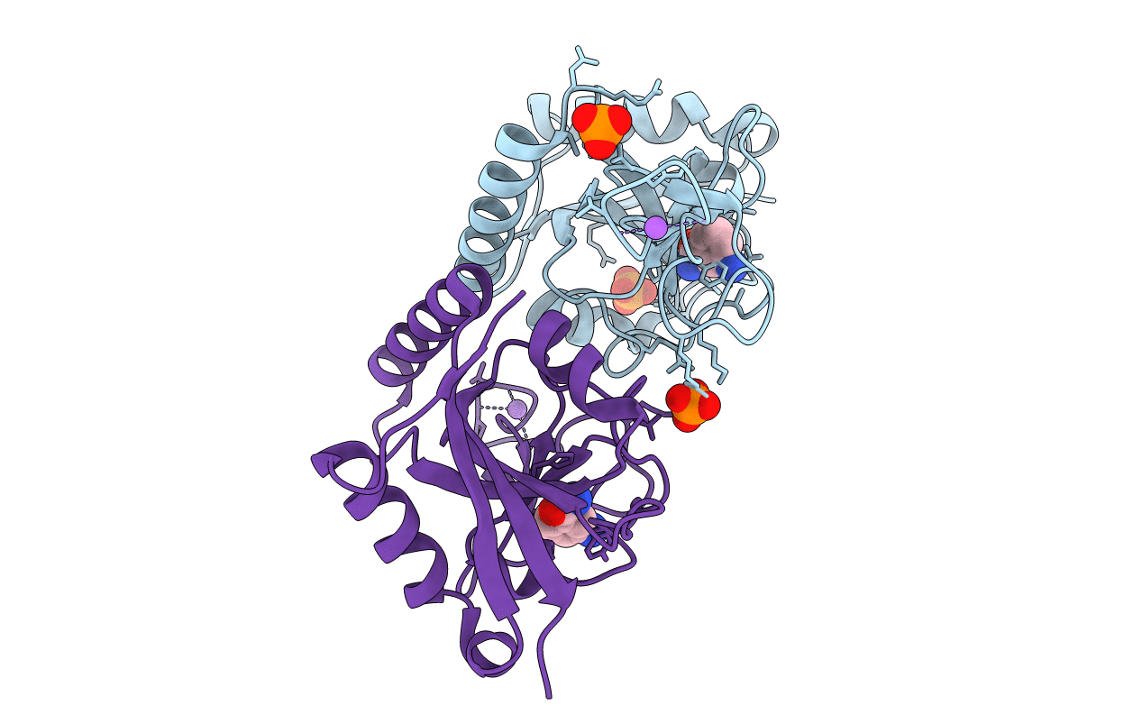 3HKV image