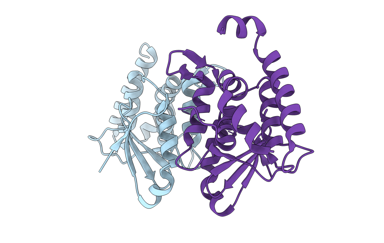 3HL6 image