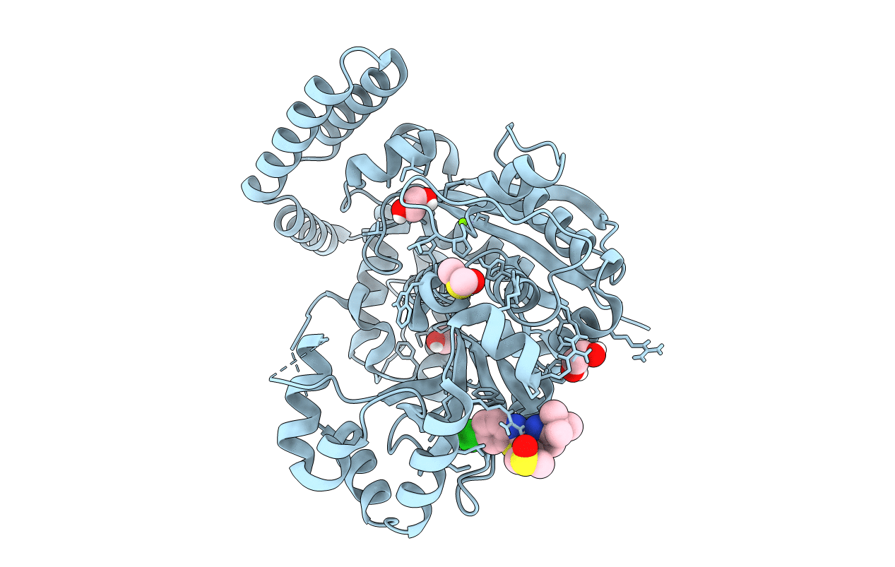 3HL8 image