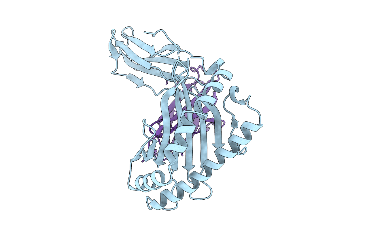 3HLA image