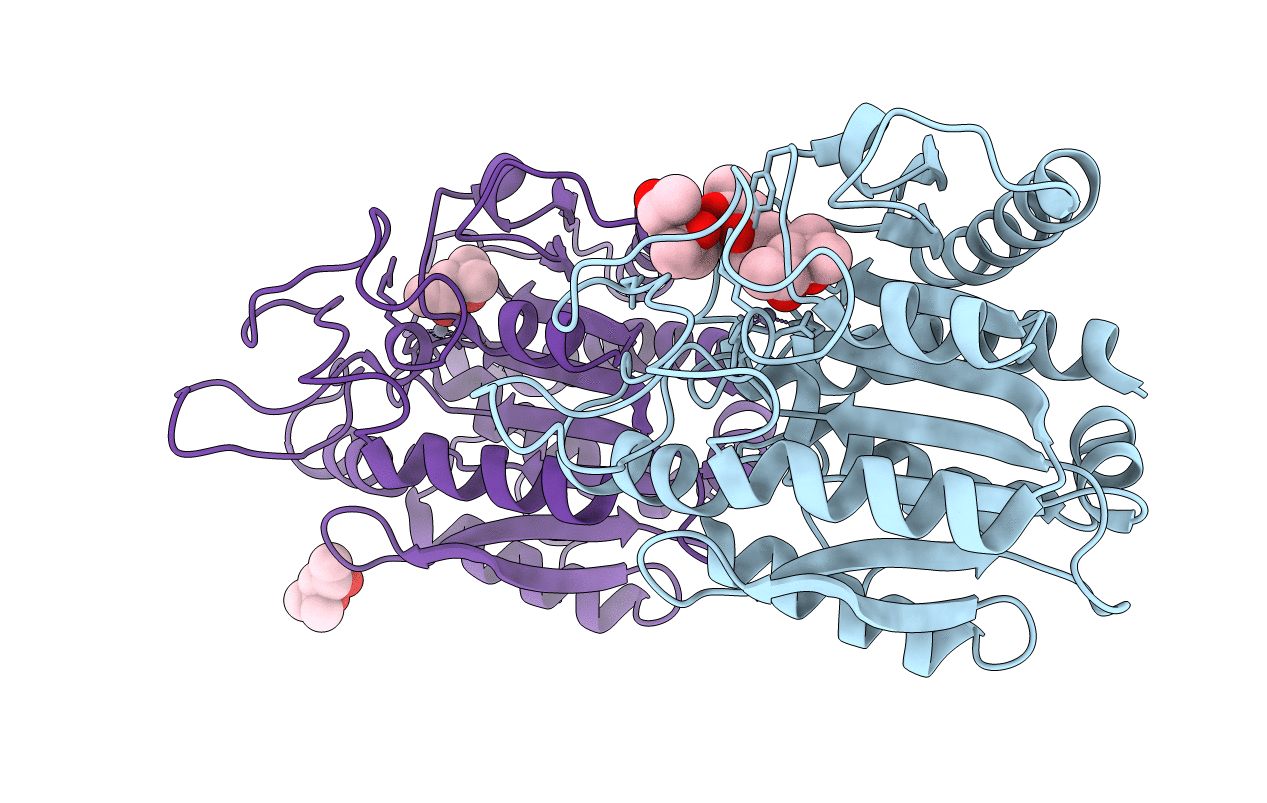 3HLP image