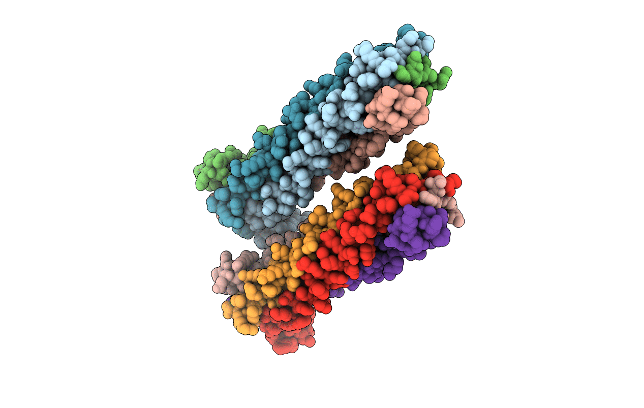 3HLS image