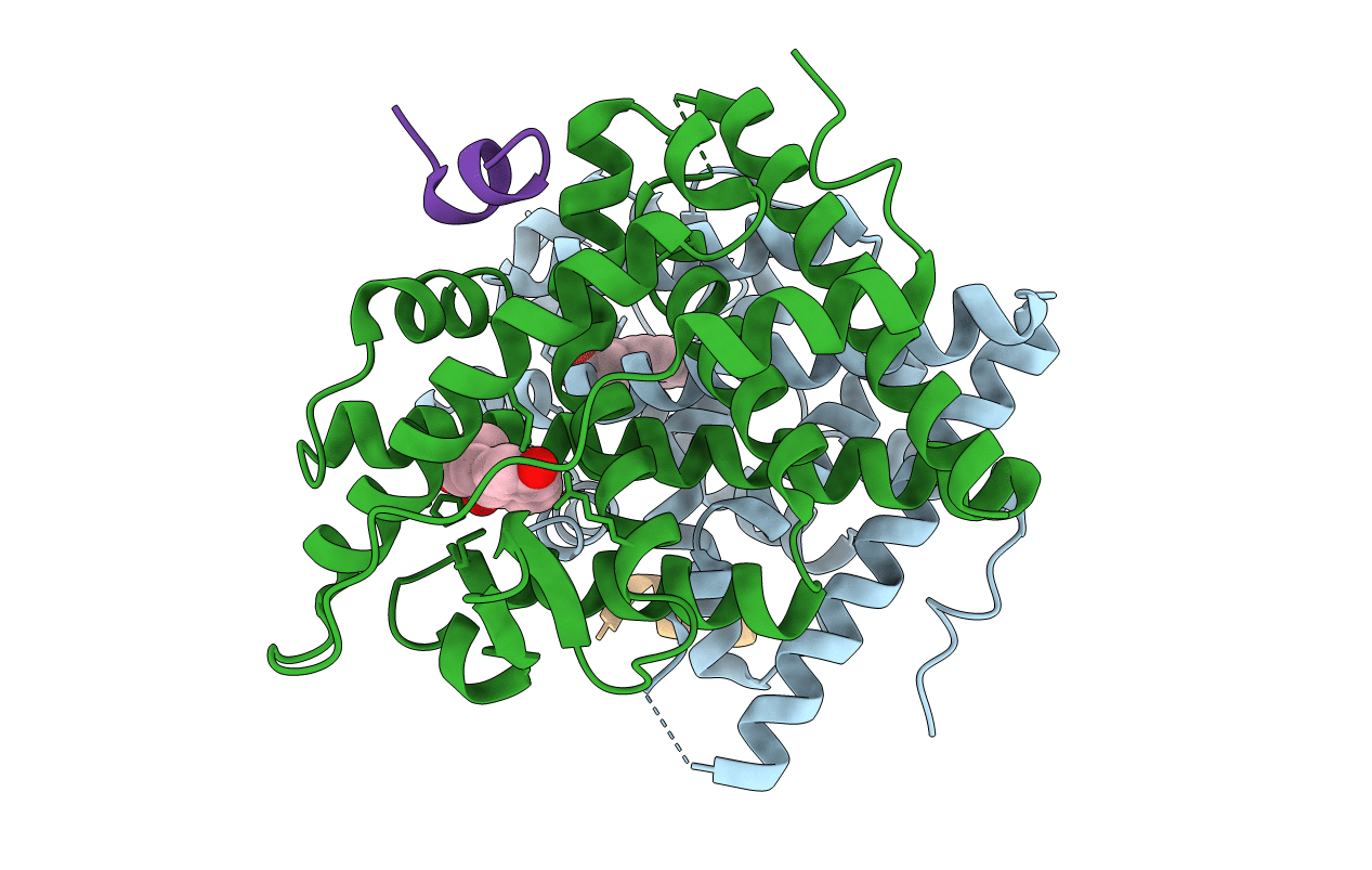 3HLV image