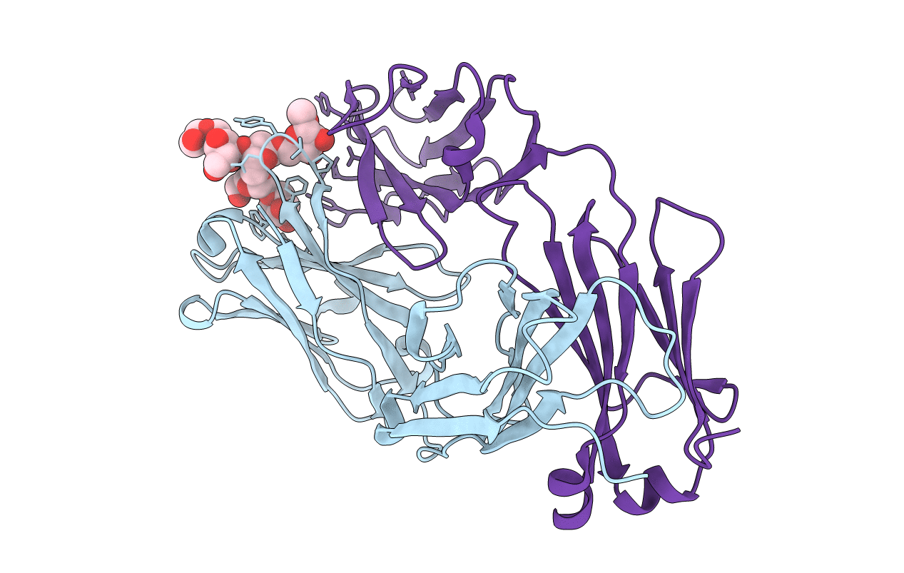3HNS image