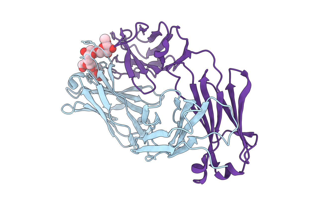 3HNT image