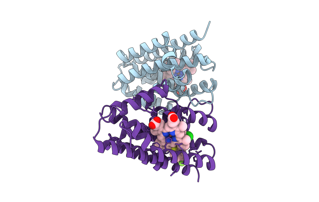 3HOK image
