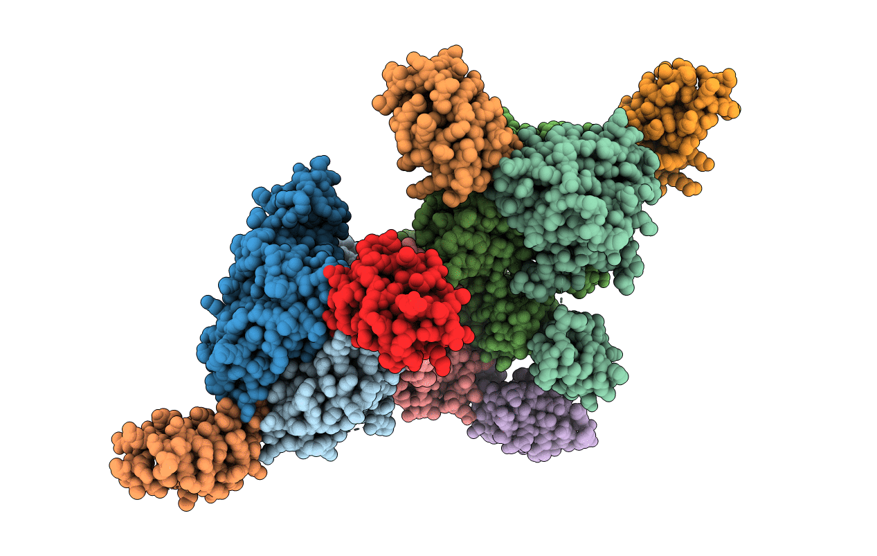 3HPG image