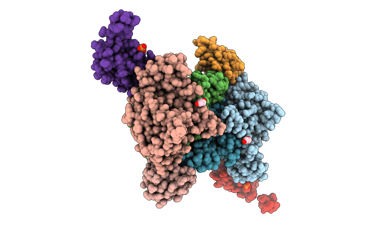 3HPH image