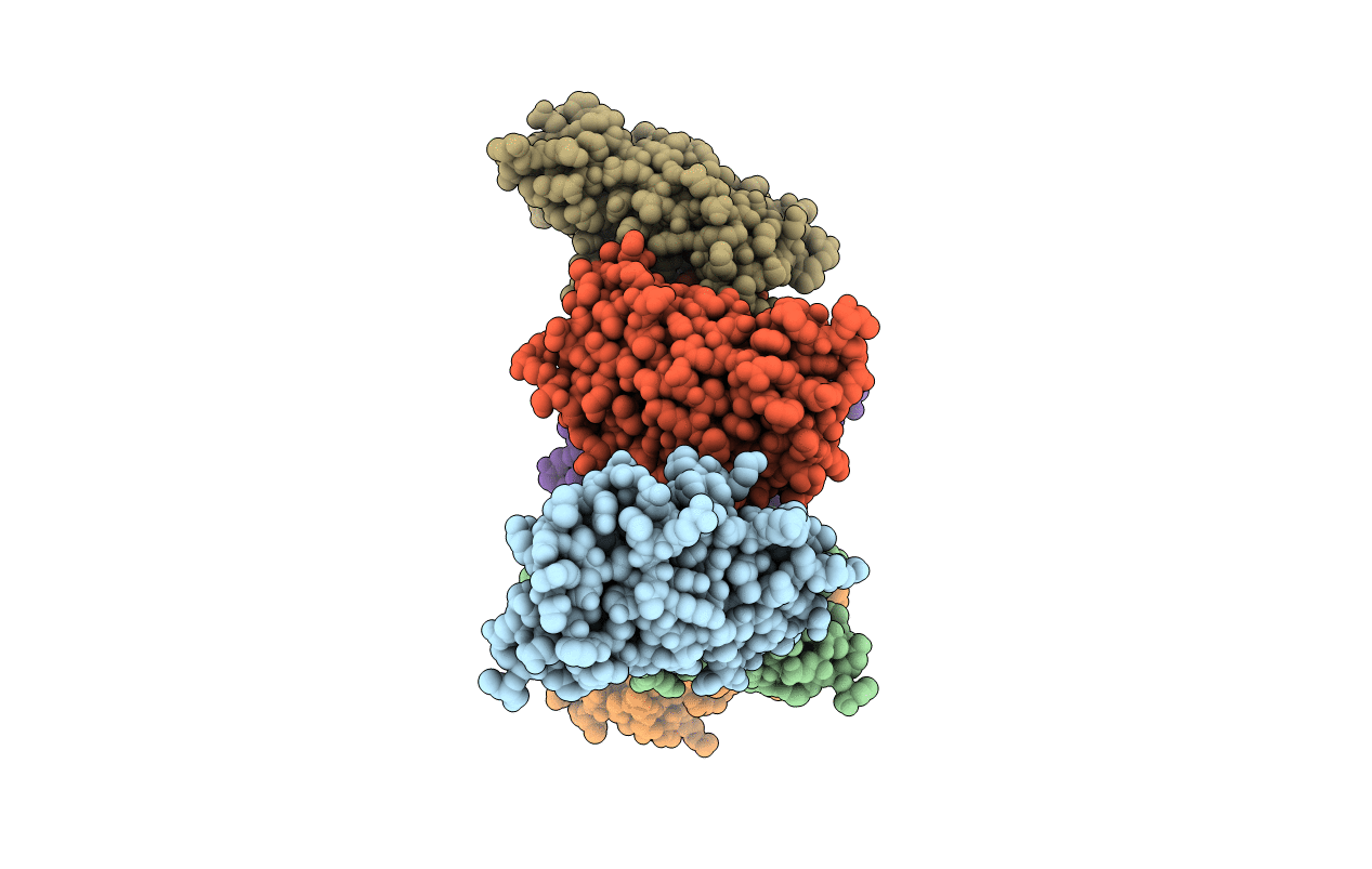 3HPN image