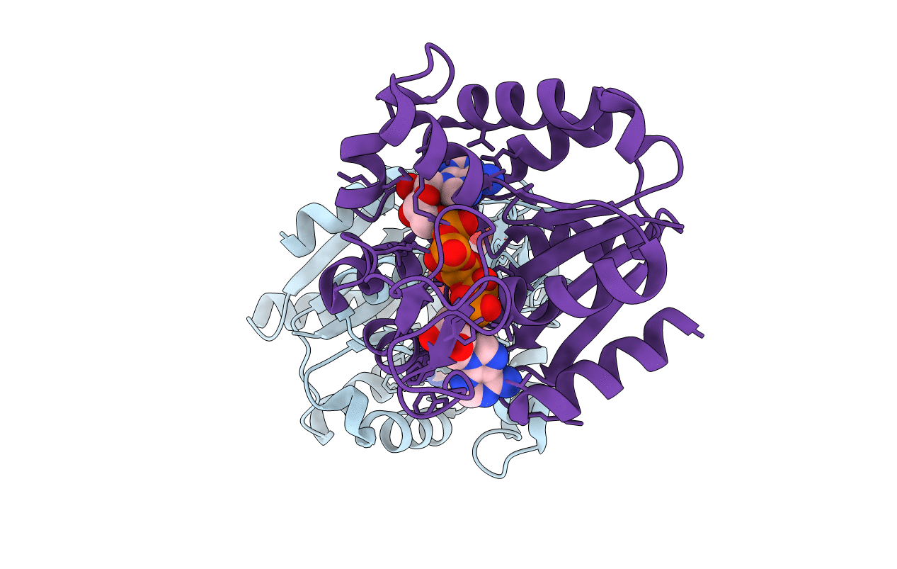 3HPR image
