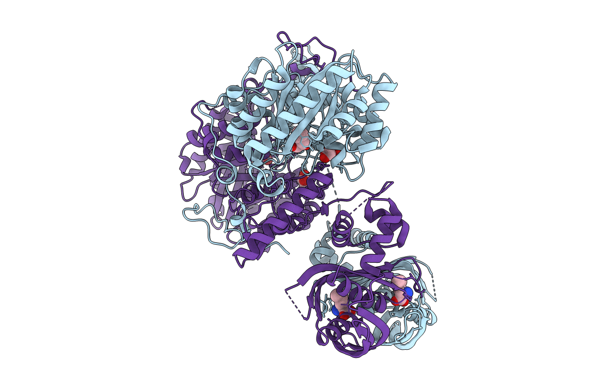 3HPS image