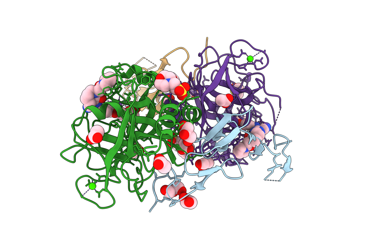 3HPT image