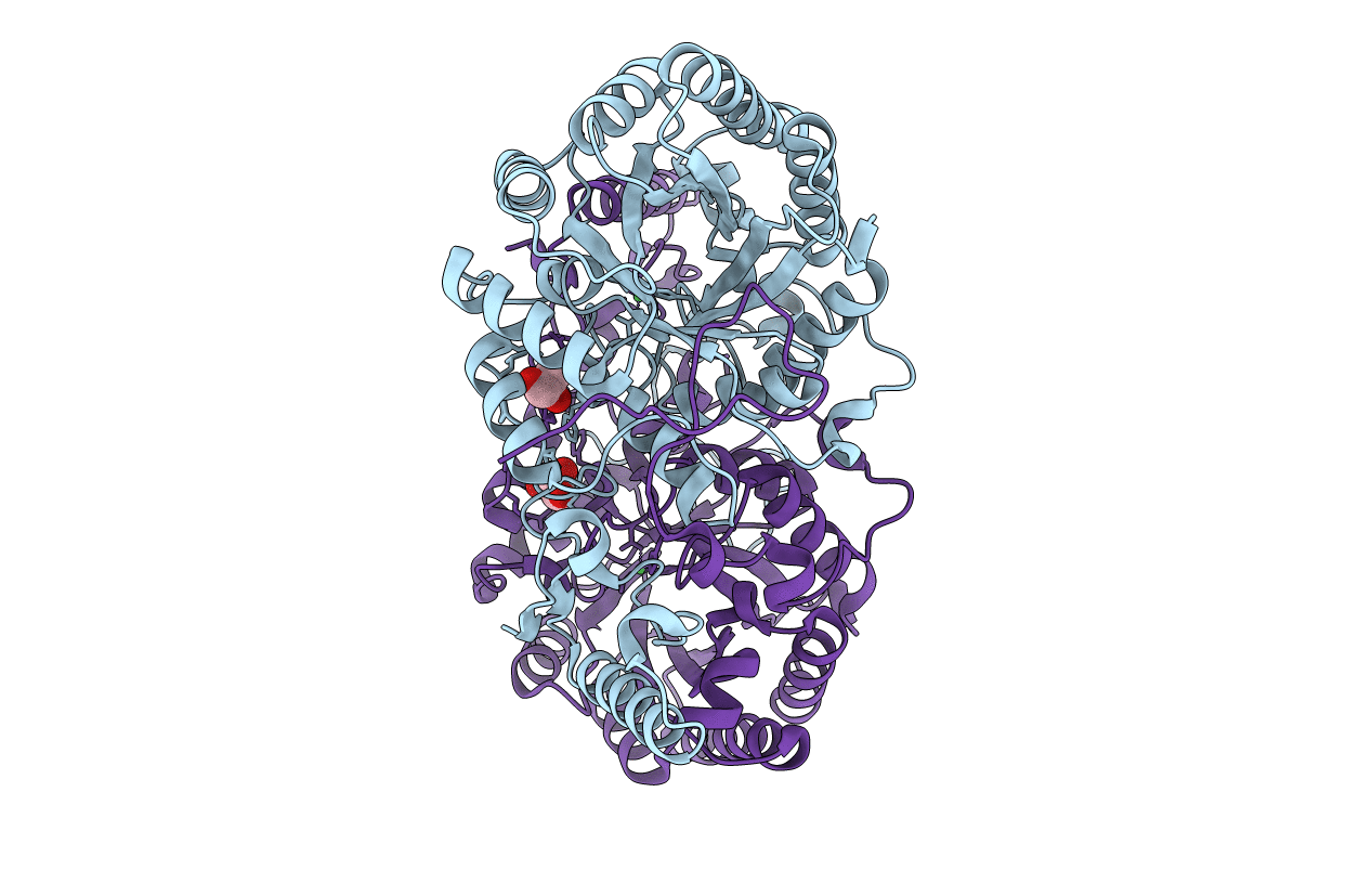 3HPX image