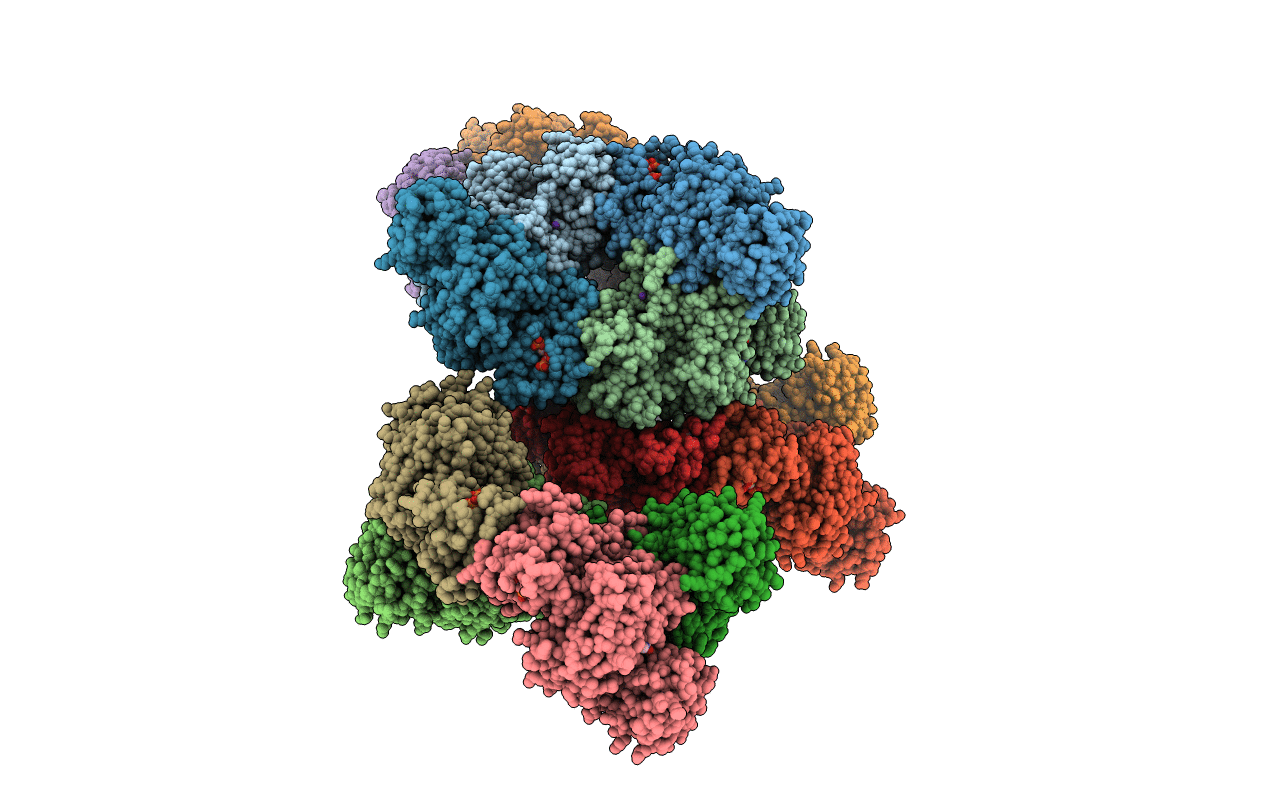 3HQP image