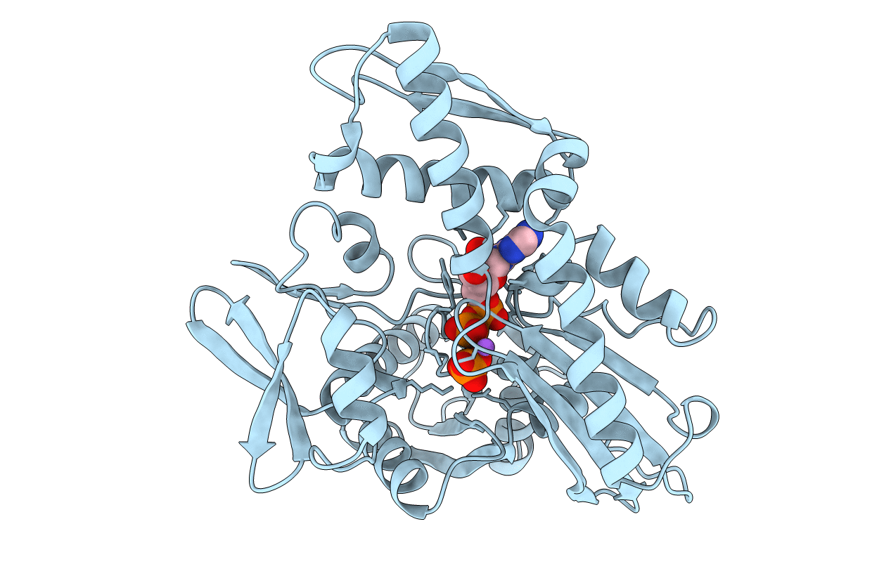 3HSC image