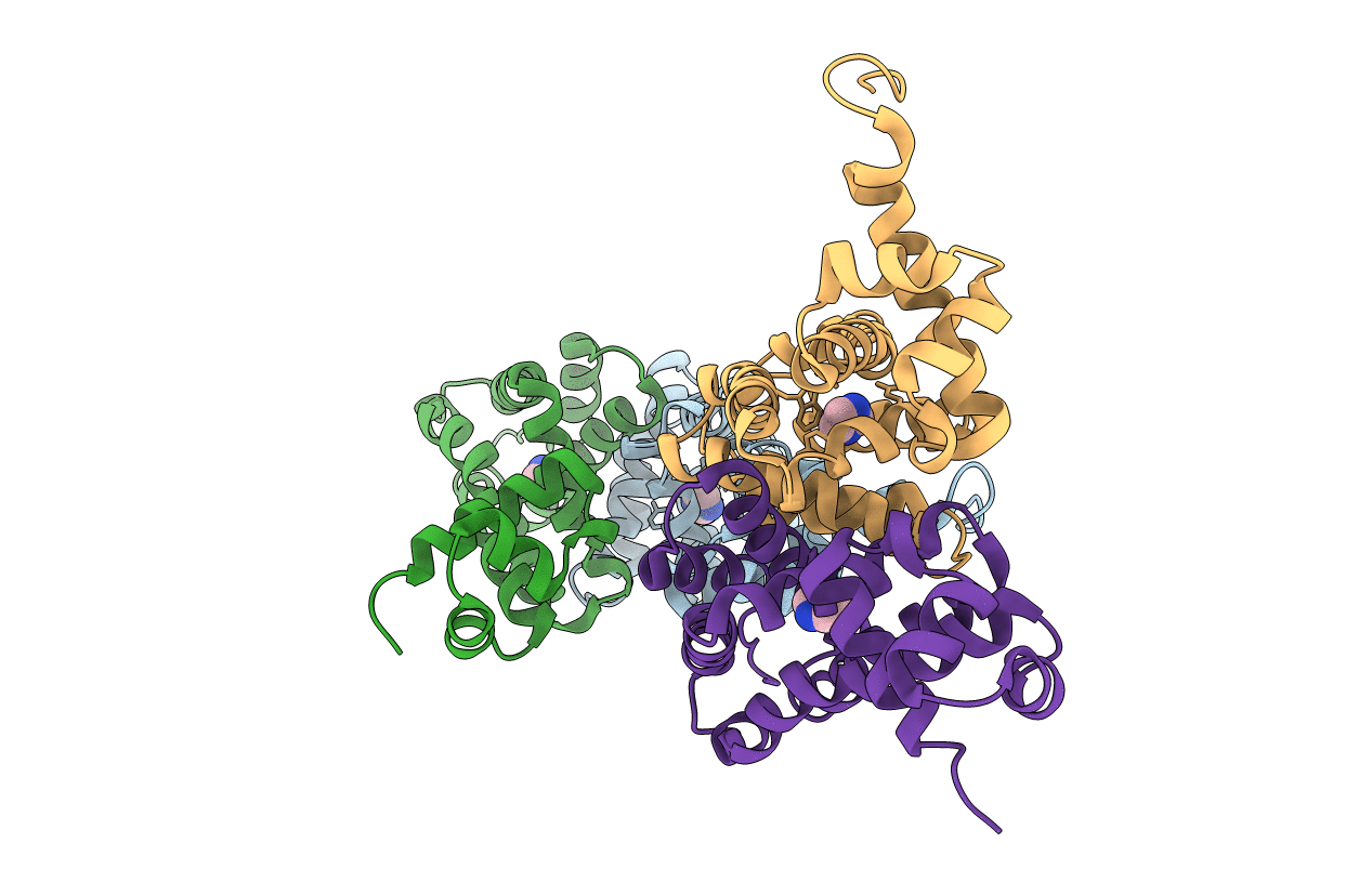 3HTA image