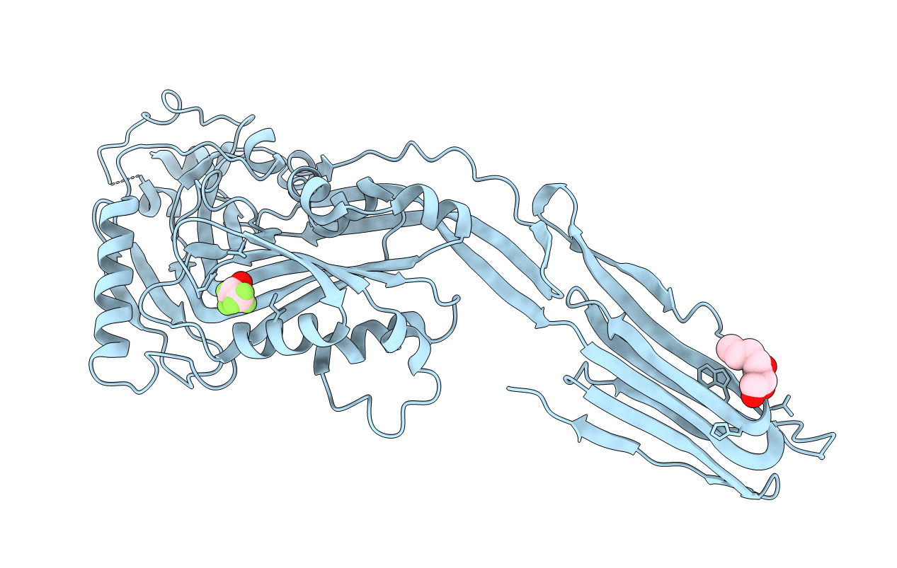 3HVN image