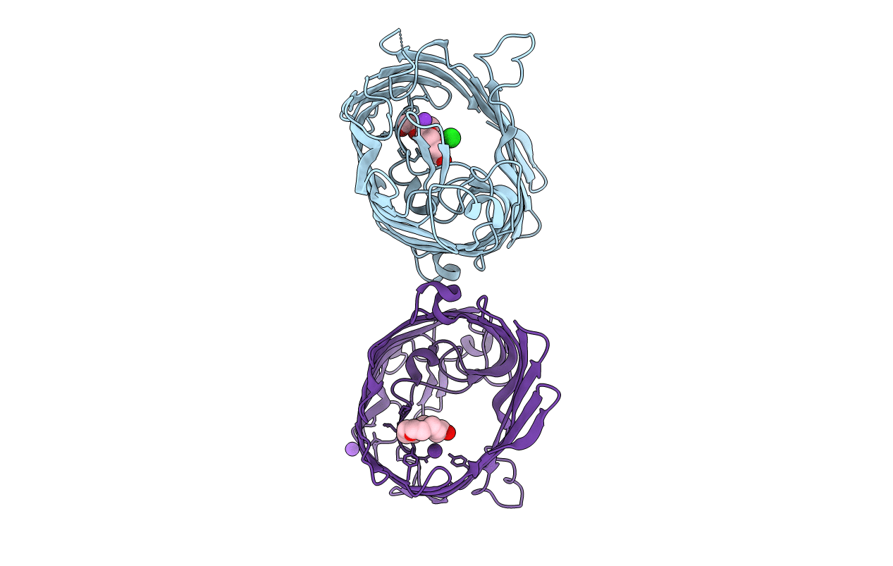 3HW9 image