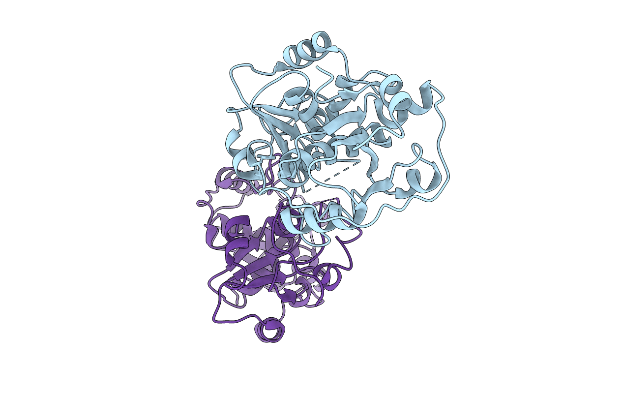3HWI image