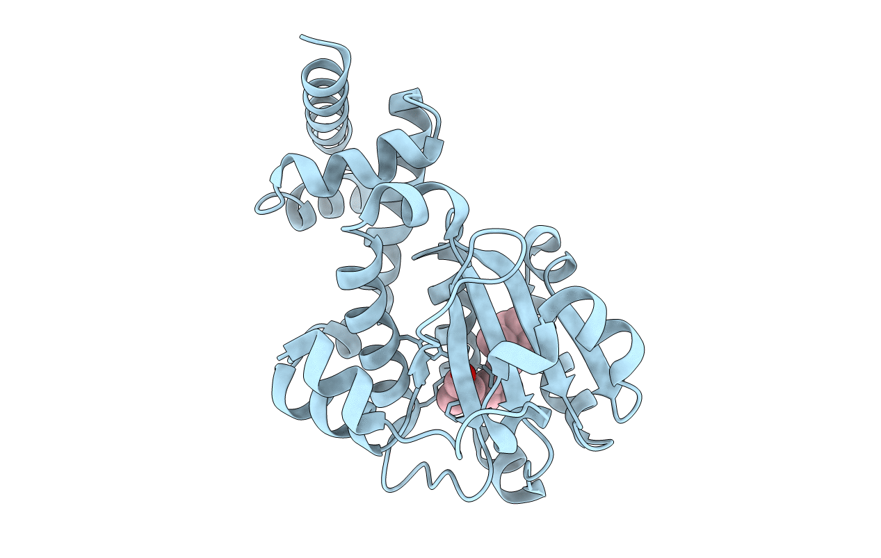 3HX3 image