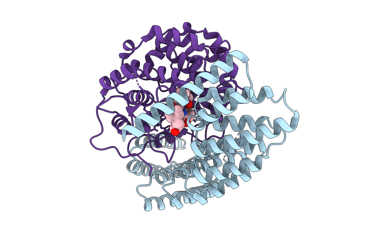 3HXB image