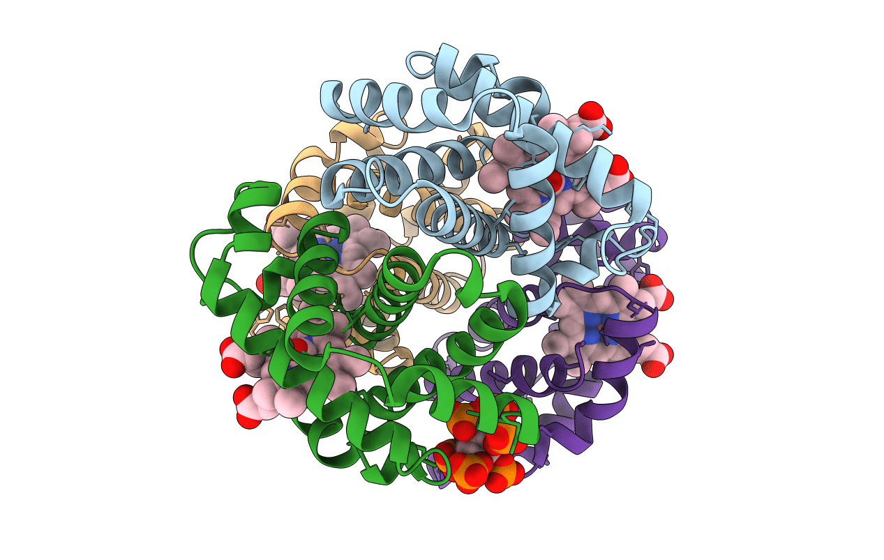 3HXN image
