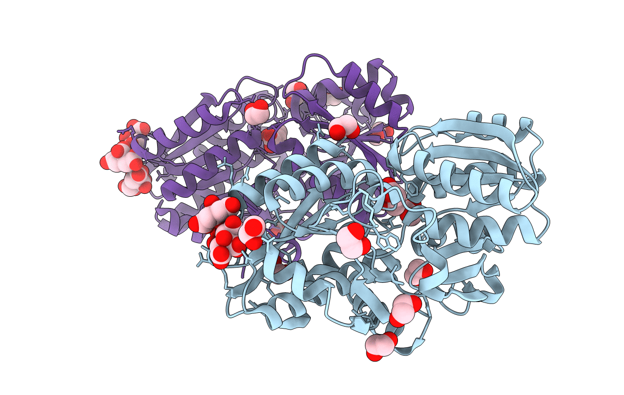 3I09 image