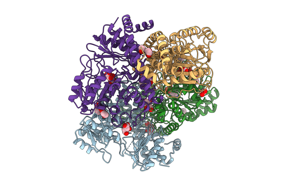 3I16 image