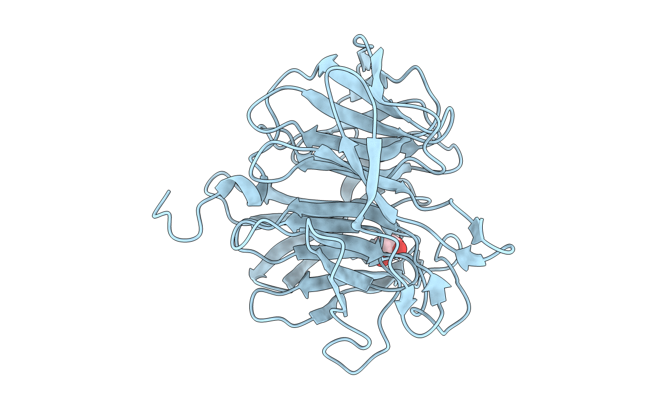 3I1C image