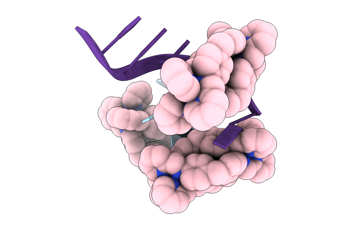 3I1D image