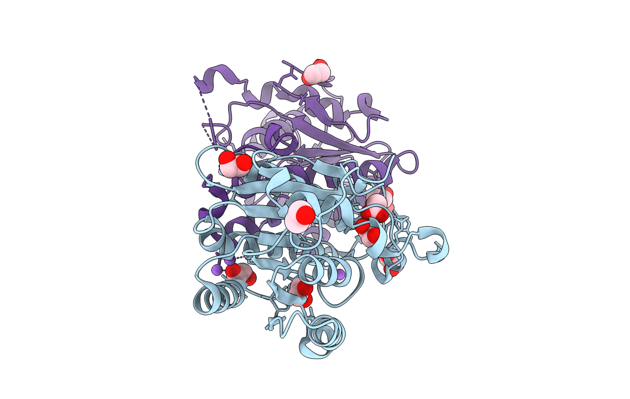 3I1J image