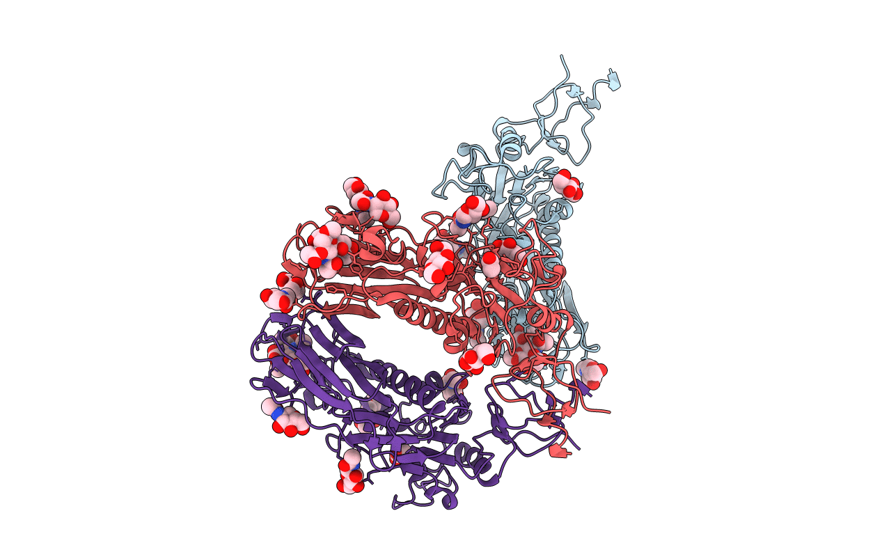 3I1L image