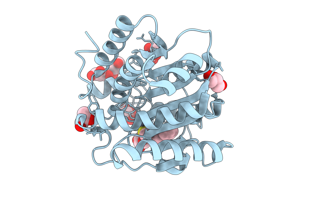 3I1U image