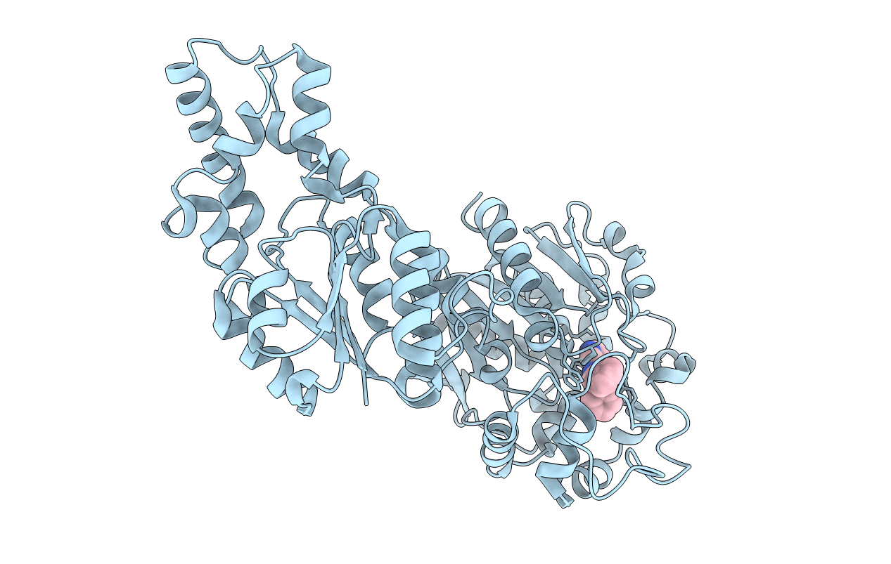 3I1Y image