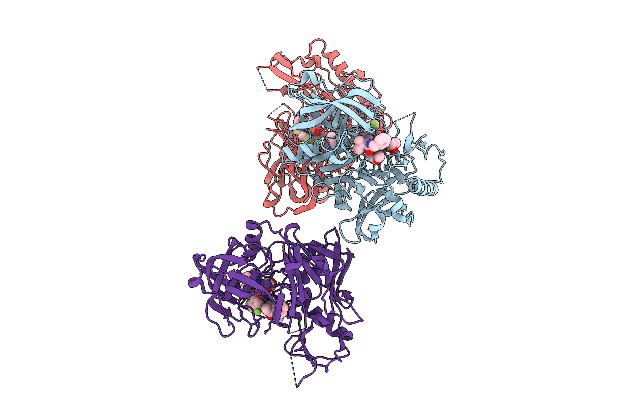 3I25 image