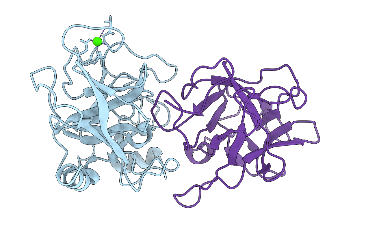 3I29 image