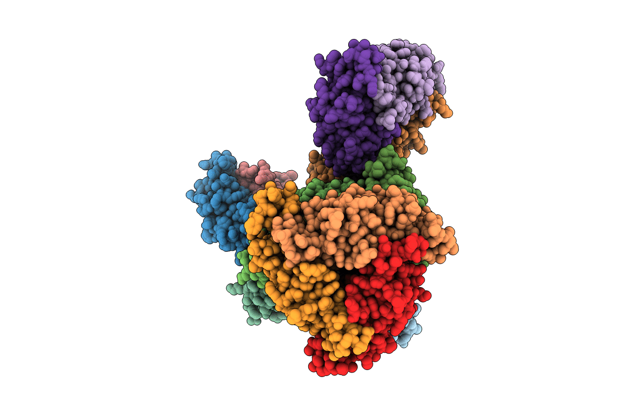 3I2B image