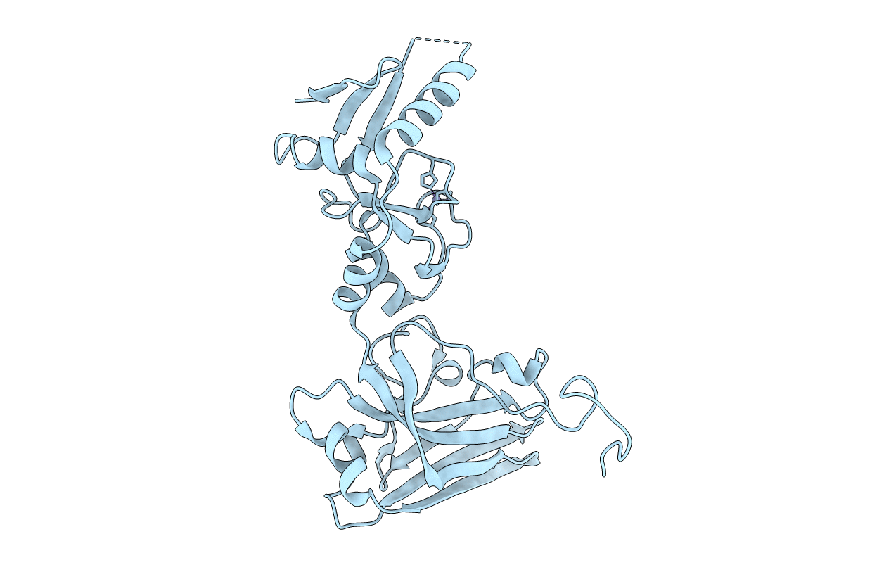 3I2D image